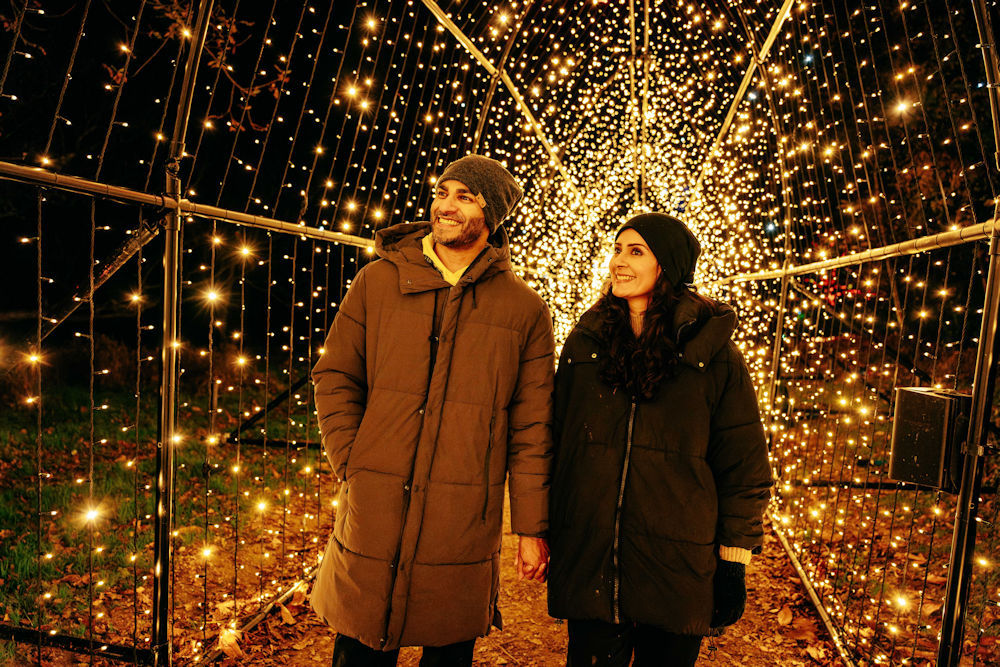 Windsor Great Park Illuminated Joshua Atkins